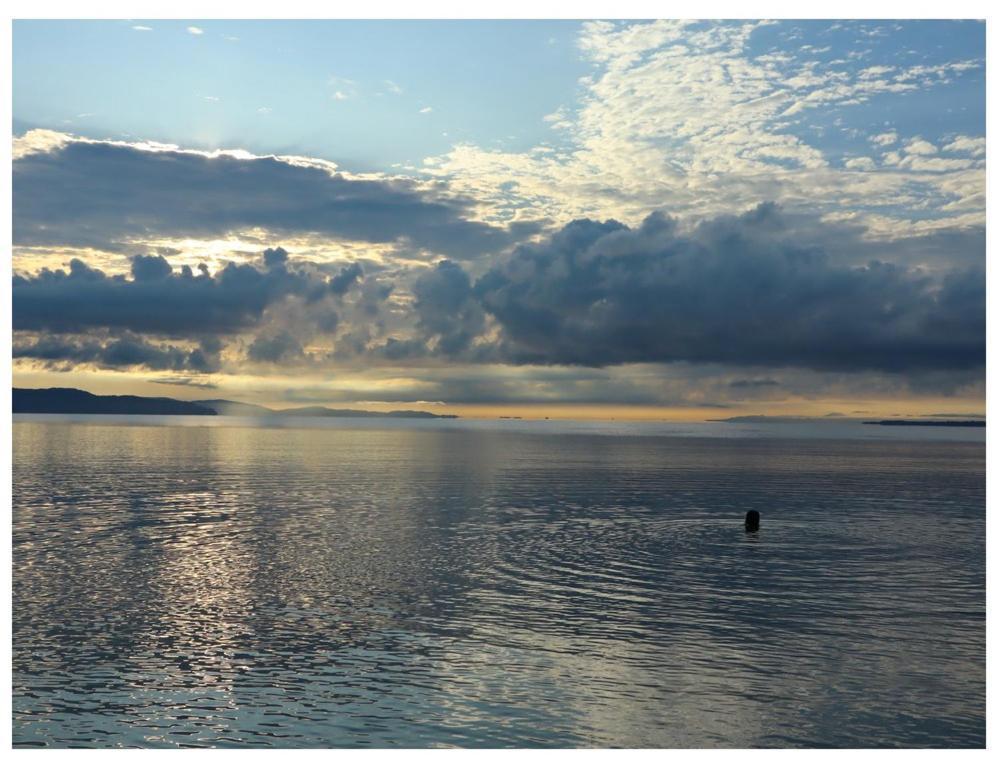 Terrazas Del Golfo Hotell La Palma Exteriör bild